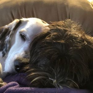 Meet your Posher, Stefanie